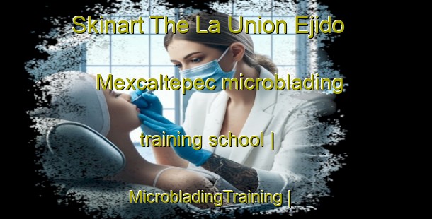 Skinart The La Union Ejido Mexcaltepec microblading training school | MicrobladingTraining | MicrobladingClasses | SkinartTraining-Mexico